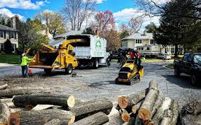 Best Emergency Tree Removal  in Highfill, AR