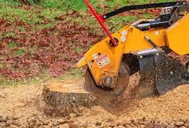 Best Tree and Shrub Care  in Highfill, AR